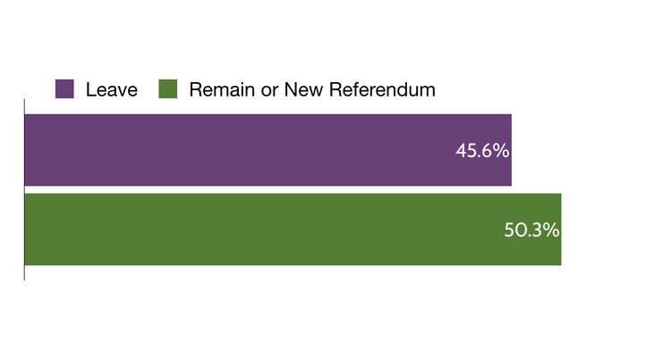 Bar chart of the 2019 UK general election popular vote: parties favouring leaving the EU, 45.6%; parties favouring remaining or a new referendum, 50.3%.